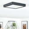 Finsrud Lámpara de baño, Plafones, Panel LED Negro, 1 luz