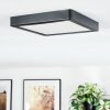 Finsrud Lámpara de baño, Plafones, Panel LED Negro, 1 luz