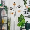 Gastor Luminarias esféricas, Lámpara de pie Colores ámbar, Ahumado, 5 luces