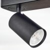 Foren Plafones, Spot techo LED Negro, 4 luces, Cambia de color