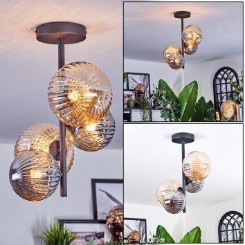 Chehalis Plafones, Luminarias esféricas Colores ámbar, Ahumado, 4 luces