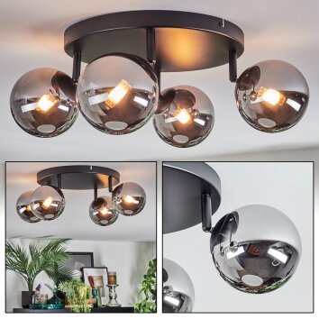 Chehalis Plafones, Luminarias esféricas Cromo, Ahumado, 4 luces