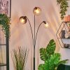 Koyoto Luminarias esféricas, Lámpara de pie Colores ámbar, Transparente, Ahumado, 3 luces