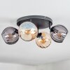 Koyoto Plafones, Luminarias esféricas Colores ámbar, Ahumado, 4 luces