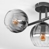 Koyoto Plafones, Luminarias esféricas Transparente, Ahumado, 3 luces
