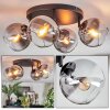 Koyoto Plafones, Luminarias esféricas Transparente, Ahumado, 4 luces