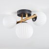 Chehalis Plafones, Luminarias esféricas dorado, Negro, 3 luces