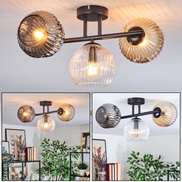 Ripoll Plafones, Luminarias esféricas Colores ámbar, Transparente, Ahumado, 3 luces