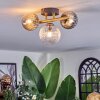 Chehalis Plafones, Luminarias esféricas dorado, Negro, 3 luces