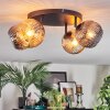 Ripoll Plafones, Luminarias esféricas Colores ámbar, Ahumado, 4 luces