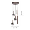 Lámparas Paul Neuhaus BOWL Lámparas colgantes LED Marrón, 5 luces