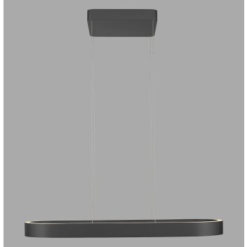 Paul Neuhaus Q-Serie Q-STRETTO Lámparas colgantes LED Negro, 2 luces, Mando a distancia