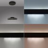 Paul Neuhaus Q-Serie Q-STRETTO Lámparas colgantes LED Negro, 2 luces, Mando a distancia