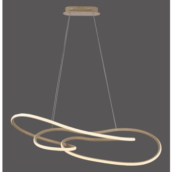 Lámparas Paul Neuhaus TWIST Lámparas colgantes LED Color arena, 1 luz