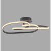 Lámparas Paul Neuhaus TWIST Plafones LED Negro, 1 luz