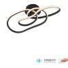 Lámparas Paul Neuhaus TWIST Plafones LED Negro, 1 luz
