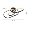 Lámparas Paul Neuhaus TWIST Plafones LED Negro, 1 luz