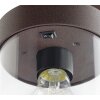 Lámparas Trio SAMBESI Lámpara de pie para exterior Color óxido, 3 luces
