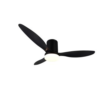 Lámparas Reality mit lámpara ventilador de techo LED Negro, 1 luz, Mando a distancia