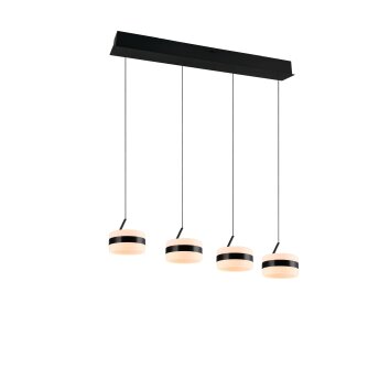 Lámparas Trio Dios Lámparas colgantes LED Negro, 4 luces