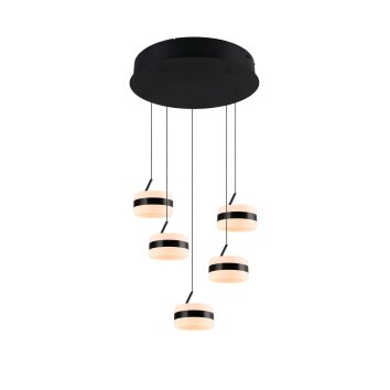 Lámparas Trio Dios Lámparas colgantes LED Negro, 5 luces