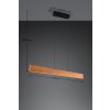Lámparas Trio Edgewood Lámparas colgantes LED Madera clara, 1 luz