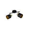 Lámparas Trio Eva Spot techo Negro-dorado, 2 luces