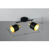 Lámparas Trio Eva Spot techo Negro-dorado, 2 luces