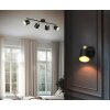 Lámparas Trio Eva Spot techo Negro-dorado, 4 luces