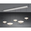 Lámparas Trio KEATON Lámparas colgantes LED Gris, 1 luz