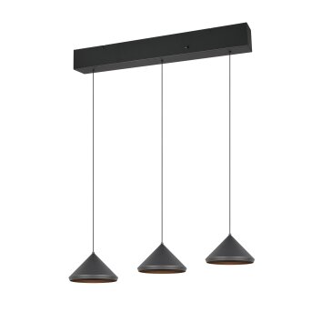 Lámparas Trio Laguna Lámparas colgantes LED Negro, 3 luces
