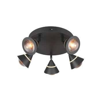 Lámparas Trio Romeo Plafones LED Negro, 5 luces
