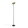 Lámparas Reality Samba Lámpara de pie LED Negro, 1 luz, Mando a distancia, Cambia de color
