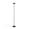 Lámparas Reality Samba Lámpara de pie LED Negro, 1 luz, Mando a distancia, Cambia de color
