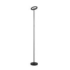 Lámparas Reality Samba Lámpara de pie LED Negro, 1 luz, Mando a distancia, Cambia de color