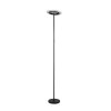 Lámparas Reality Samba Lámpara de pie LED Negro, 1 luz, Mando a distancia, Cambia de color