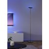 Lámparas Reality Samba Lámpara de pie LED Negro, 1 luz, Mando a distancia, Cambia de color