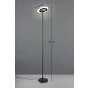 Lámparas Reality Samba Lámpara de pie LED Negro, 1 luz, Mando a distancia, Cambia de color