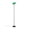 Lámparas Reality Samba Lámpara de pie LED Negro, 1 luz, Mando a distancia, Cambia de color