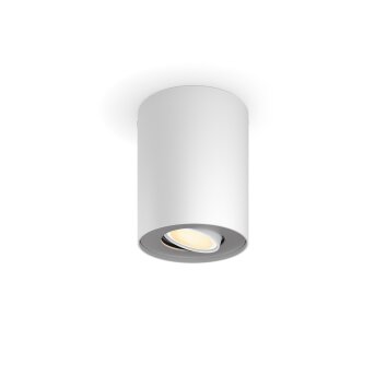 Lámparas Philips Pillar Plafones Blanca, 1 luz