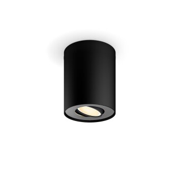 Lámparas Philips Pillar Plafones Negro, 1 luz