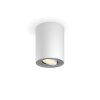 Lámparas Philips Pillar Plafones Blanca, 1 luz