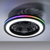 Lámparas Leuchten Direkt BRANDON Plafones LED Negro, 2 luces, Mando a distancia, Cambia de color