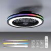 Lámparas Leuchten Direkt BRANDON Plafones LED Negro, 2 luces, Mando a distancia, Cambia de color