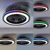 Lámparas Leuchten Direkt BRANDON Plafones LED Negro, 2 luces, Mando a distancia, Cambia de color