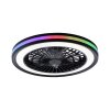 Lámparas Leuchten Direkt BRANDON Plafones LED Negro, 2 luces, Mando a distancia, Cambia de color