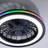 Lámparas Leuchten Direkt BRANDON Plafones LED Negro, 2 luces, Mando a distancia, Cambia de color