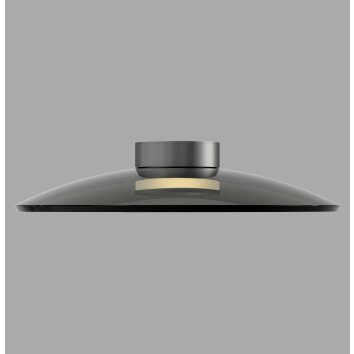 Lámparas Paul Neuhaus Moon Plafones LED Plata, 2 luces