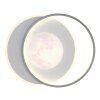 Lámparas Globo Lighting Moon Plafones LED Gris, Negro, 1 luz