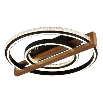 Lámparas Globo Lighting Deloris Plafones LED marrón oscuro, Negro, 1 luz, Mando a distancia